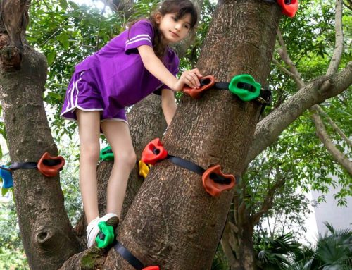 Arrampicata sugli alberi (bambini)