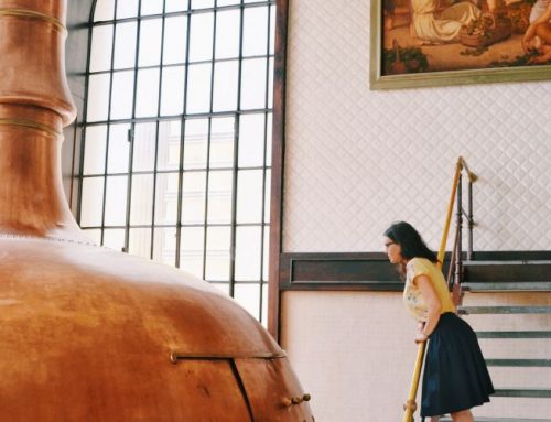 Birrificio Angelo Poretti (22,5 Km)