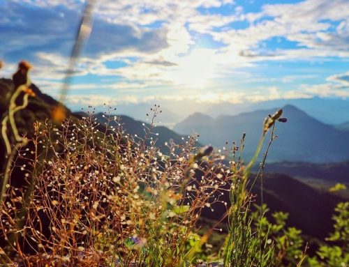 Parchi naturali nel Varesotto