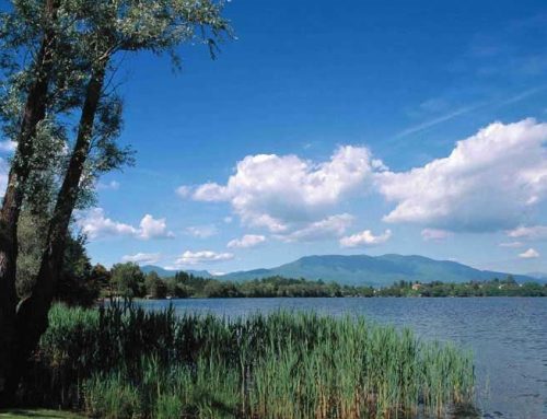 Lago di Monate